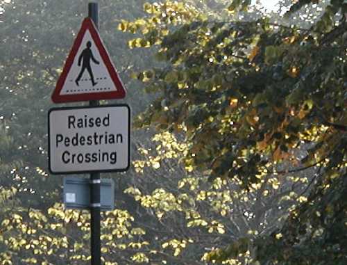 raised_pedestrian.jpg
